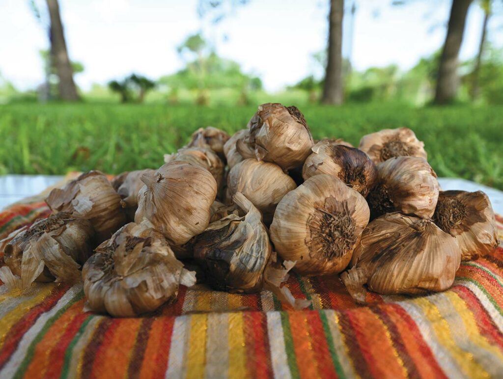 Finding Quality Black Garlic in Europe: Tips for Consumers