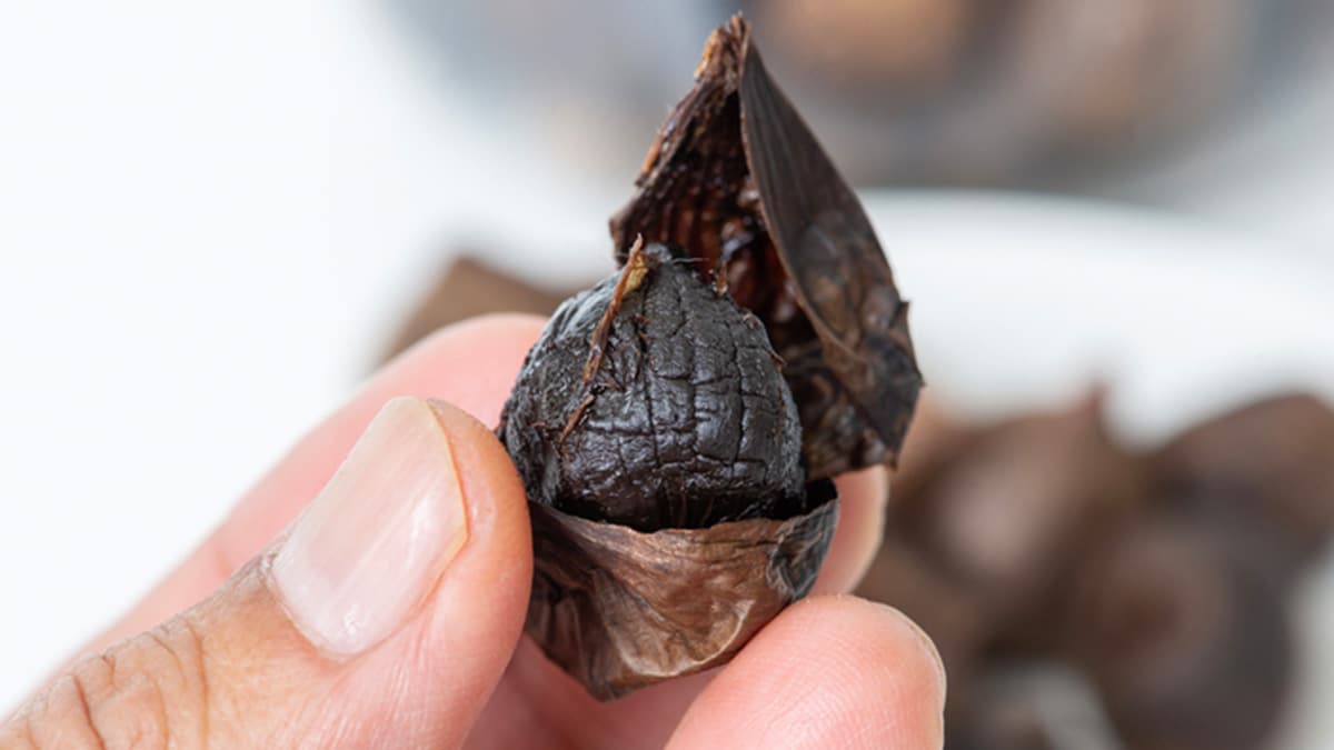 Does Black Garlic Have the Same Pungency or Cause Garlic Breath?