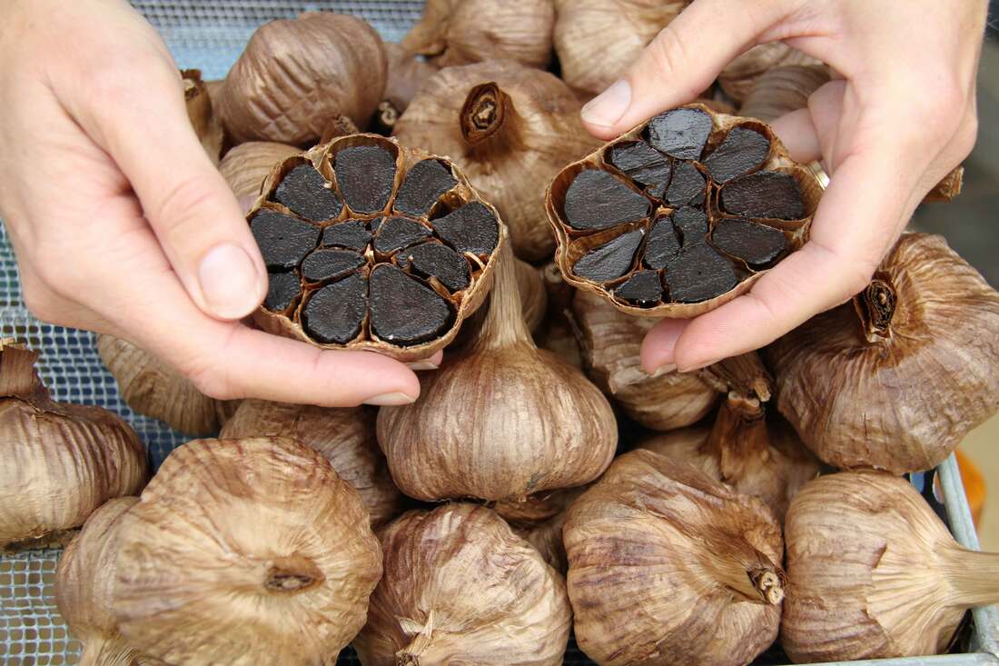 Can You Be Allergic to Black Garlic if You’re Okay with Raw Garlic?