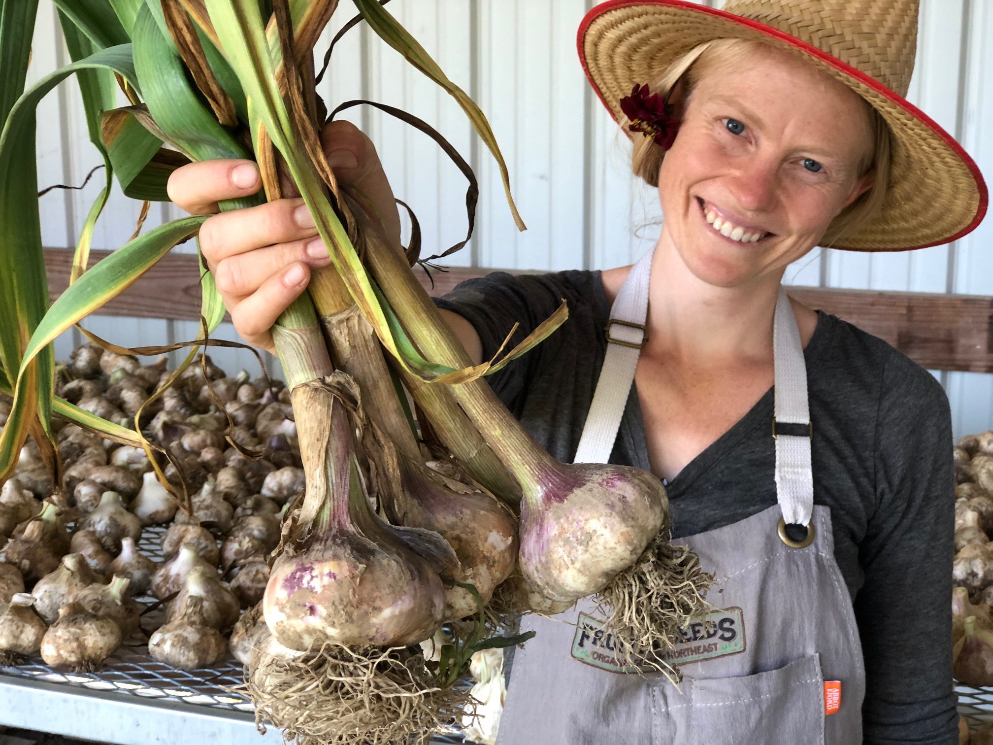 Fair Labor Practices in the Garlic Supply Chain for Black Garlic